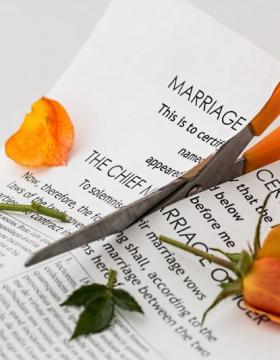 Divorce par consentement mutuel Divorce par consentement mutuel