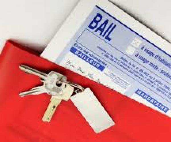 BAIL D'HABITATION : résiliation du bail, solidarité et indemnité d'occupation